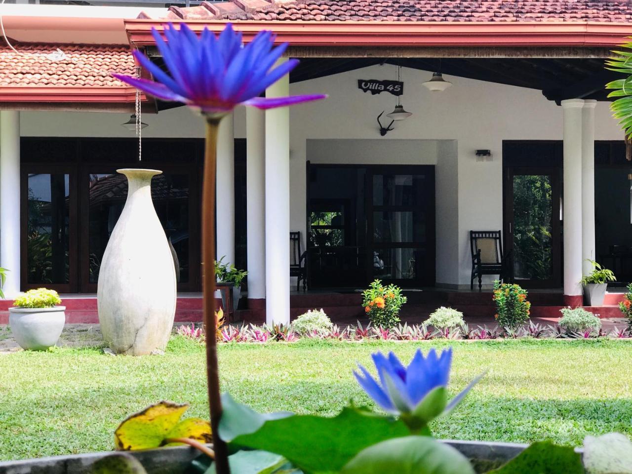 Villa 45 - Balapitiya Buitenkant foto